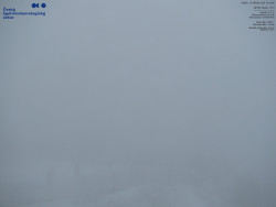 Pohled na jihozápad, Smrk