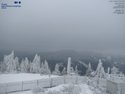 Pohled na jihozápad, Smrk