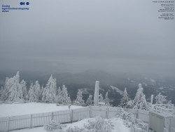 Pohled na jihozápad, Smrk