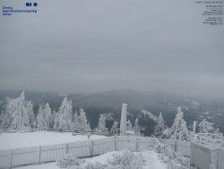 Pohled na jihozápad, Smrk