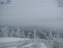 Pohled na jihozápad, Smrk