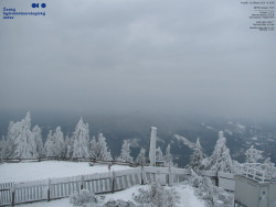 Pohled na jihozápad, Smrk