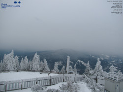 Pohled na jihozápad, Smrk