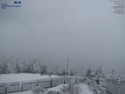 Pohled na jihozápad, Smrk