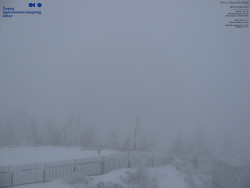 Pohled na jihozápad, Smrk