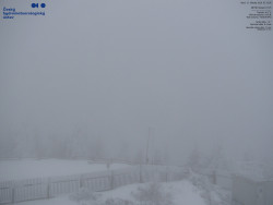 Pohled na jihozápad, Smrk