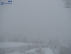 Pohled na jihozápad, Smrk