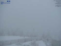 Pohled na jihozápad, Smrk