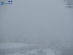 Pohled na jihozápad, Smrk