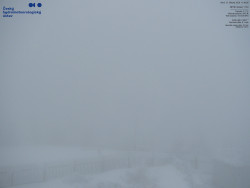 Pohled na jihozápad, Smrk