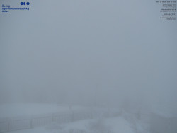 Pohled na jihozápad, Smrk