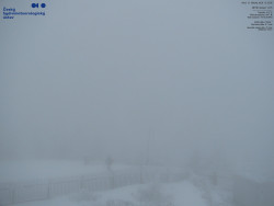 Pohled na jihozápad, Smrk