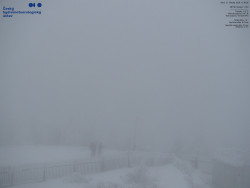 Pohled na jihozápad, Smrk