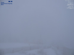 Pohled na jihozápad, Smrk