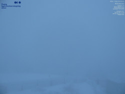 Pohled na jihozápad, Smrk