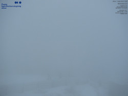 Pohled na jihozápad, Smrk