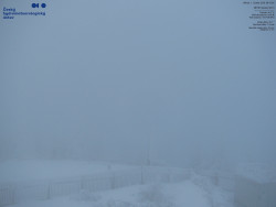 Pohled na jihozápad, Smrk