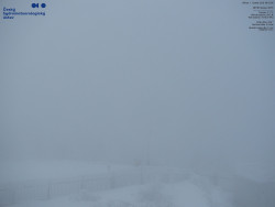 Pohled na jihozápad, Smrk