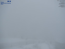 Pohled na jihozápad, Smrk