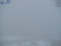 Pohled na jihozápad, Smrk