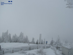 Pohled na jihozápad, Smrk