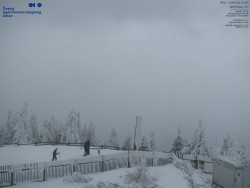 Pohled na jihozápad, Smrk