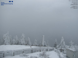 Pohled na jihozápad, Smrk