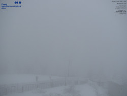 Pohled na jihozápad, Smrk