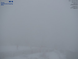 Pohled na jihozápad, Smrk