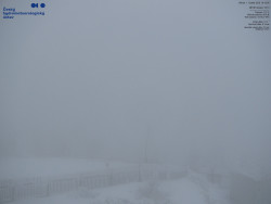 Pohled na jihozápad, Smrk