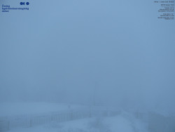 Pohled na jihozápad, Smrk