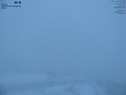 Pohled na jihozápad, Smrk