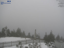 Pohled na jihozápad, Smrk