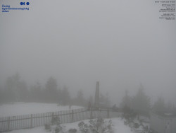 Pohled na jihozápad, Smrk