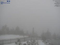 Pohled na jihozápad, Smrk