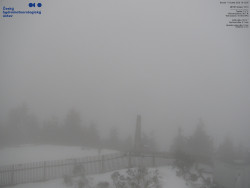 Pohled na jihozápad, Smrk