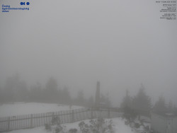 Pohled na jihozápad, Smrk