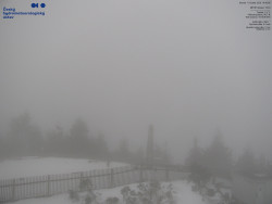 Pohled na jihozápad, Smrk