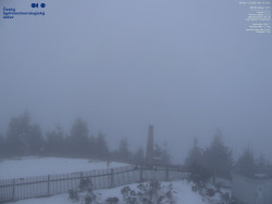 Pohled na jihozápad, Smrk