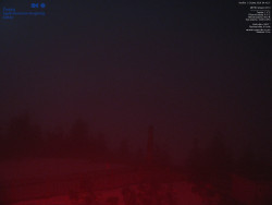 Pohled na jihozápad, Smrk