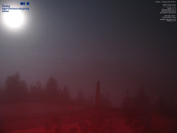 Pohled na jihozápad, Smrk