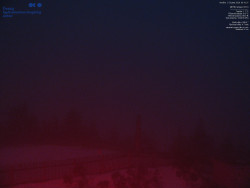 Pohled na jihozápad, Smrk