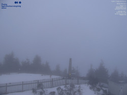 Pohled na jihozápad, Smrk