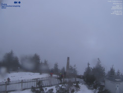 Pohled na jihozápad, Smrk