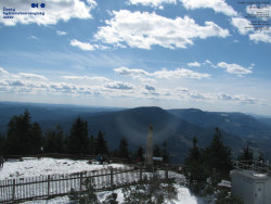 Pohled na jihozápad, Smrk