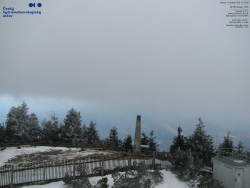 Pohled na jihozápad, Smrk