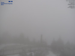 Pohled na jihozápad, Smrk