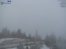 Pohled na jihozápad, Smrk