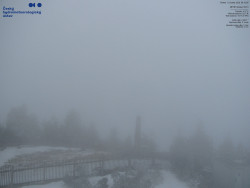 Pohled na jihozápad, Smrk