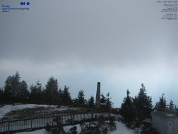 Pohled na jihozápad, Smrk